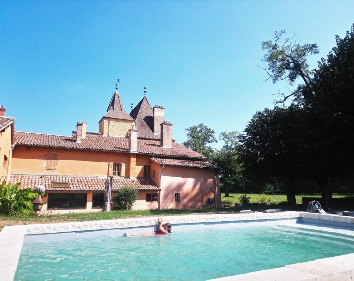 Chateau De La Venerie Denice Exterior photo